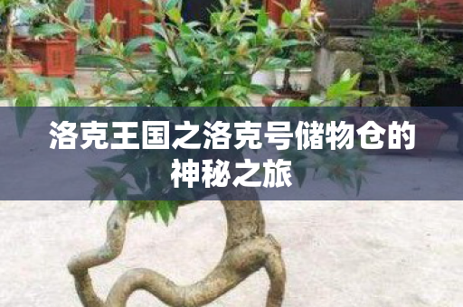 洛克王国之洛克号储物仓的神秘之旅图片