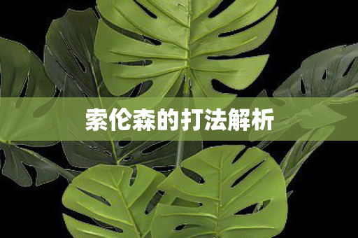 索伦森的打法解析图片