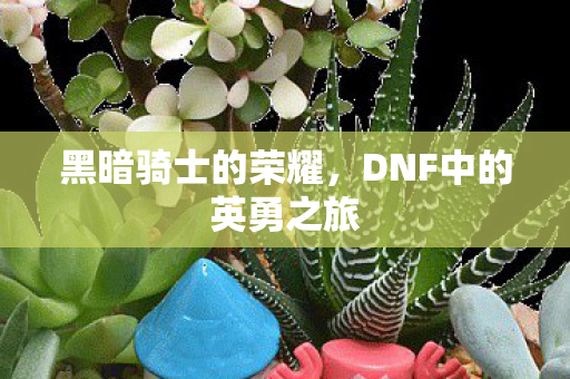 DNF中的英勇之旅图片