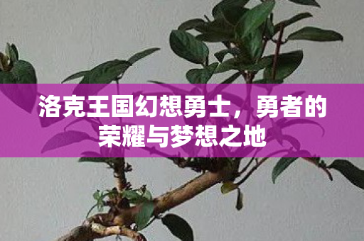 勇者的荣耀与梦想之地图片