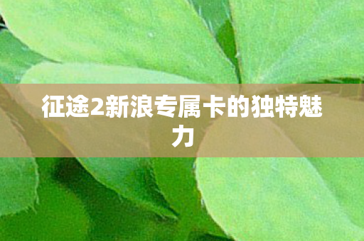 征途2新浪专属卡的独特魅力图片
