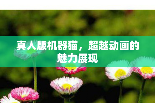 超越动画的魅力展现图片