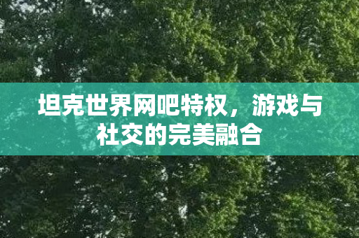 游戏与社交的完美融合图片