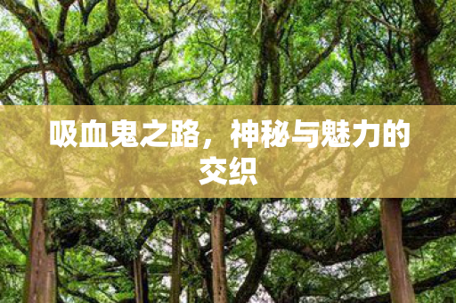 神秘与魅力的交织图片