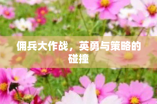 英勇与策略的碰撞图片