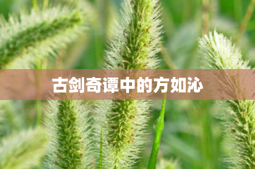 古剑奇谭中的方如沁图片