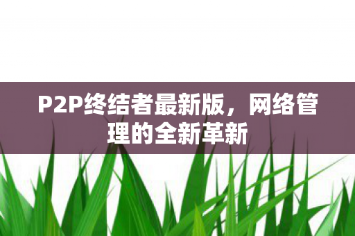 P2P终结者最新版图片