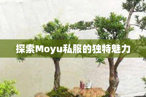 探索Moyu私服的独特魅力图片