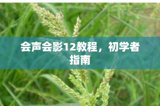 会声会影12教程图片