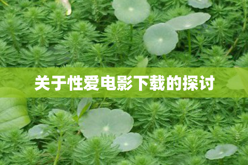 关于性爱电影下载的探讨图片