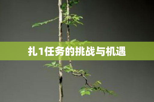扎1任务的挑战与机遇图片