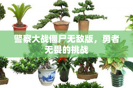 警察大战僵尸无敌版图片
