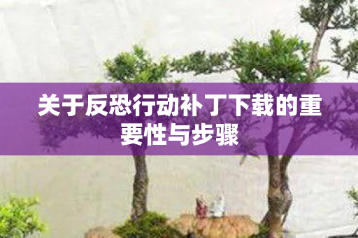 关于反恐行动补丁下载的重要性与步骤图片