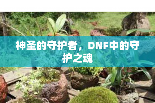 DNF中的守护之魂图片