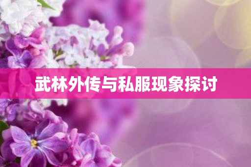 武林外传与私服现象探讨图片