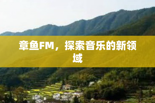探索音乐的新领域图片