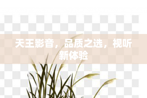 视听新体验图片