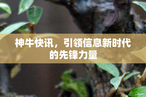 引领信息新时代的先锋力量图片