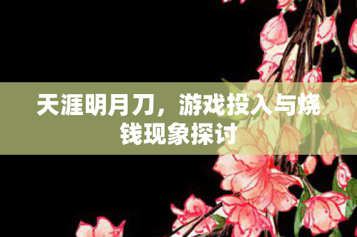 游戏投入与烧钱现象探讨图片