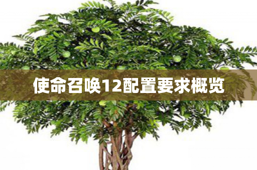 使命召唤12配置要求概览图片