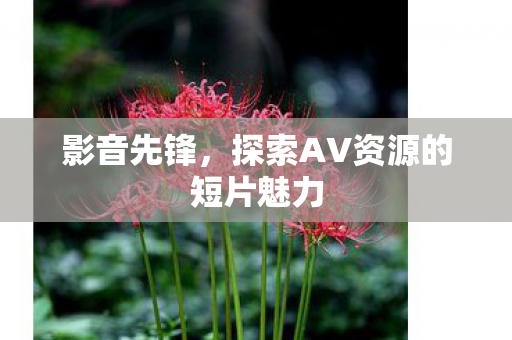 探索AV资源的短片魅力图片