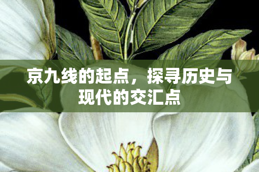 探寻历史与现代的交汇点图片