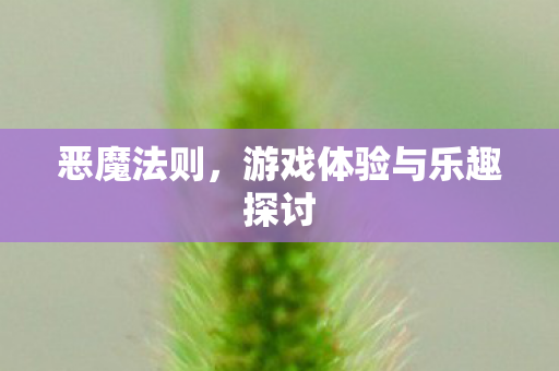 游戏体验与乐趣探讨图片
