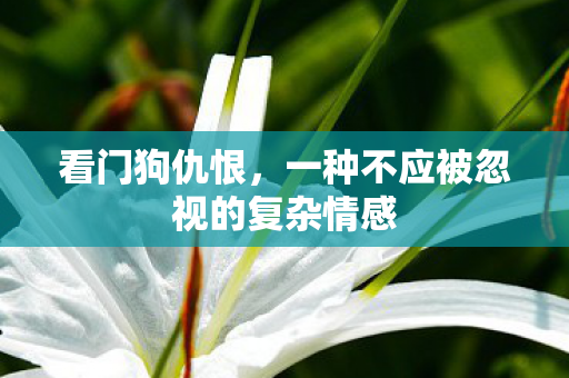 一种不应被忽视的复杂情感图片