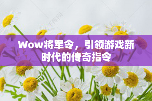 引领游戏新时代的传奇指令图片