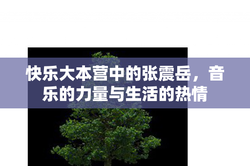 音乐的力量与生活的热情图片