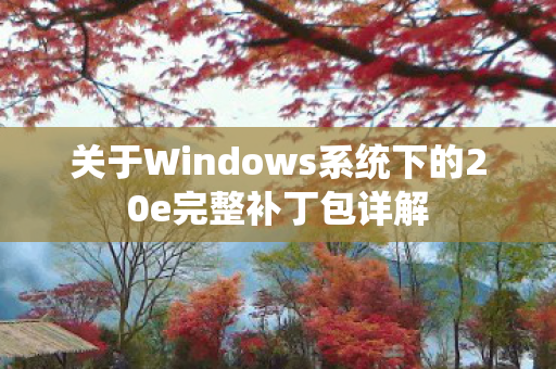 关于Windows系统下的20e完整补丁包详解图片