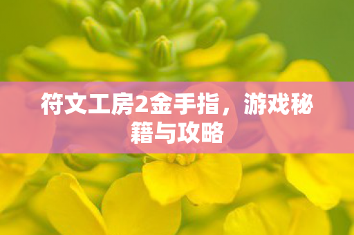 符文工房2金手指图片