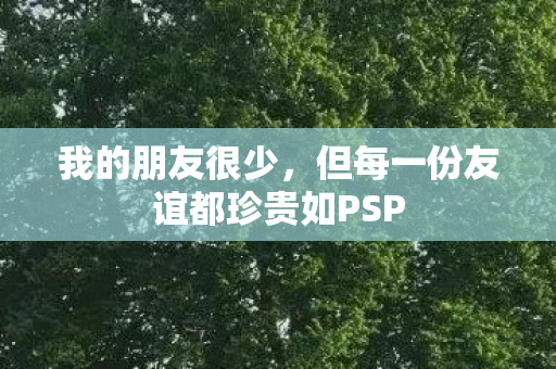 但每一份友谊都珍贵如PSP图片