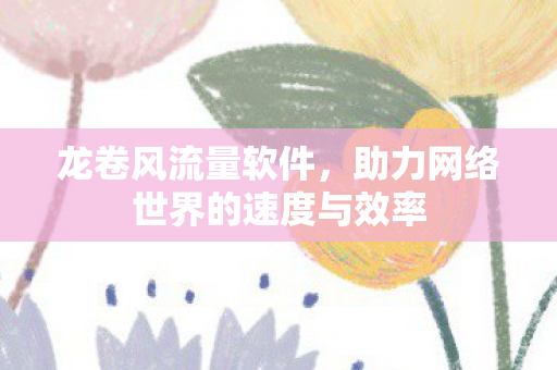 助力网络世界的速度与效率图片