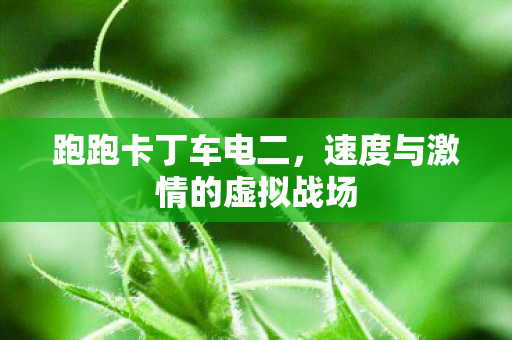速度与激情的虚拟战场图片