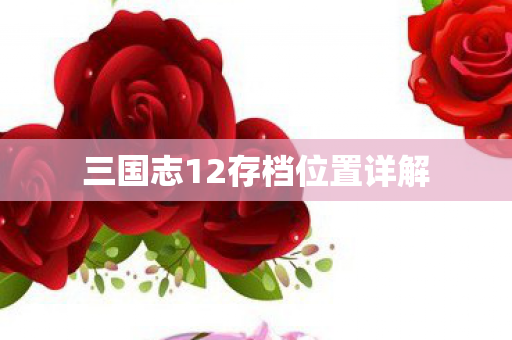 三国志12存档位置详解图片