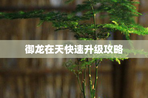 御龙在天快速升级攻略图片