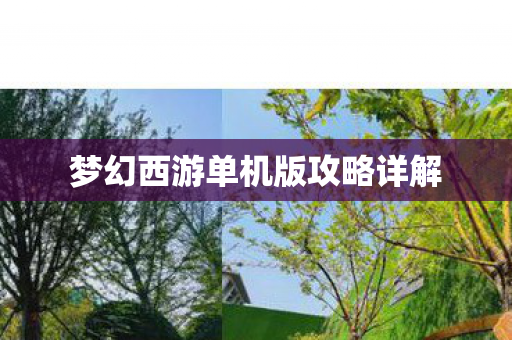 梦幻西游单机版攻略详解图片