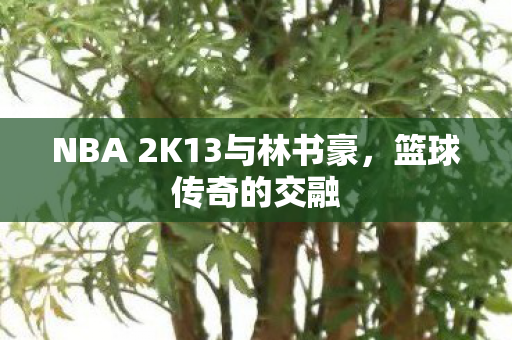 NBA 2K13与林书豪图片