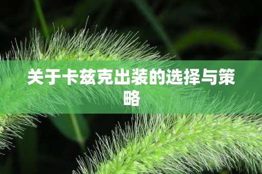 关于卡兹克出装的选择与策略图片