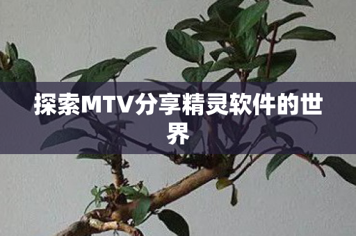 探索MTV分享精灵软件的世界图片