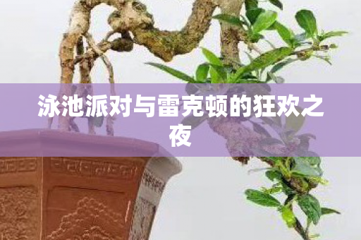 泳池派对与雷克顿的狂欢之夜图片