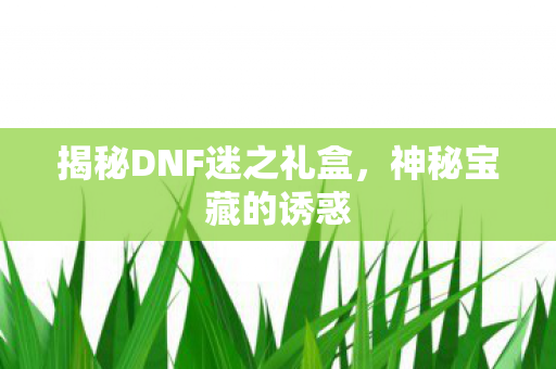 揭秘DNF迷之礼盒图片