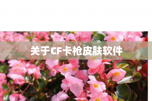 关于CF卡枪皮肤软件图片
