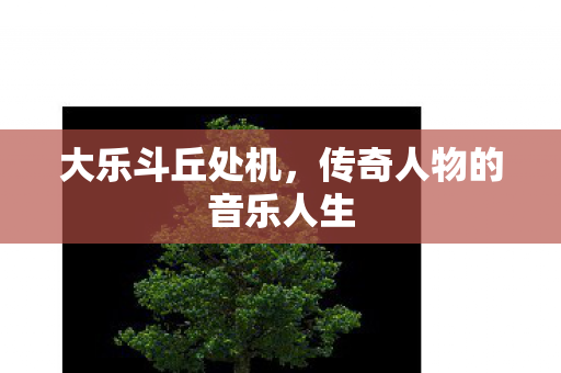 传奇人物的音乐人生图片