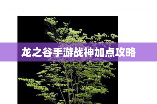 龙之谷手游战神加点攻略图片