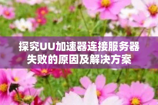 探究UU加速器连接服务器失败的原因及解决方案图片