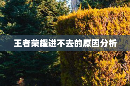 王者荣耀进不去的原因分析图片