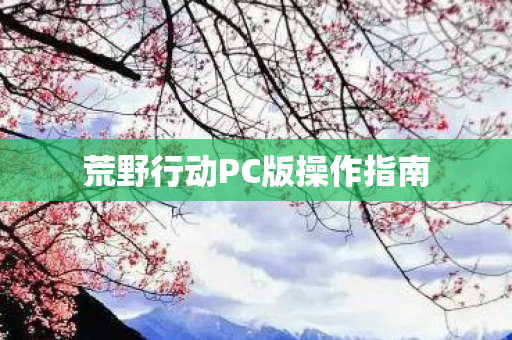 荒野行动PC版操作指南图片