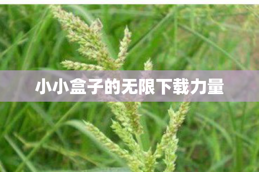 小小盒子的无限下载力量图片